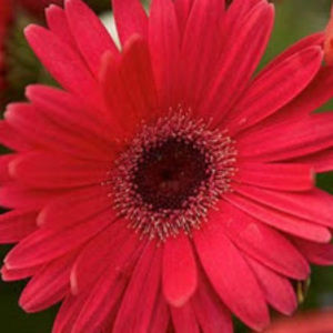 Meet your Posher, Jayme